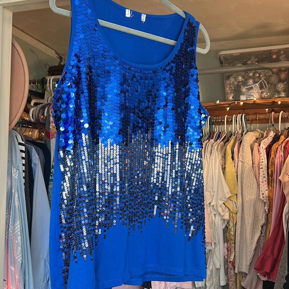 Beautiful blue sequin tank top.